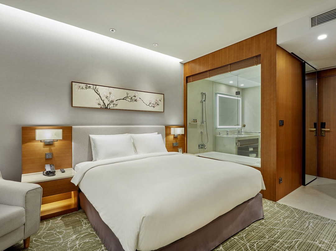 Hotel Skypark Central Seoul Pangyo主图