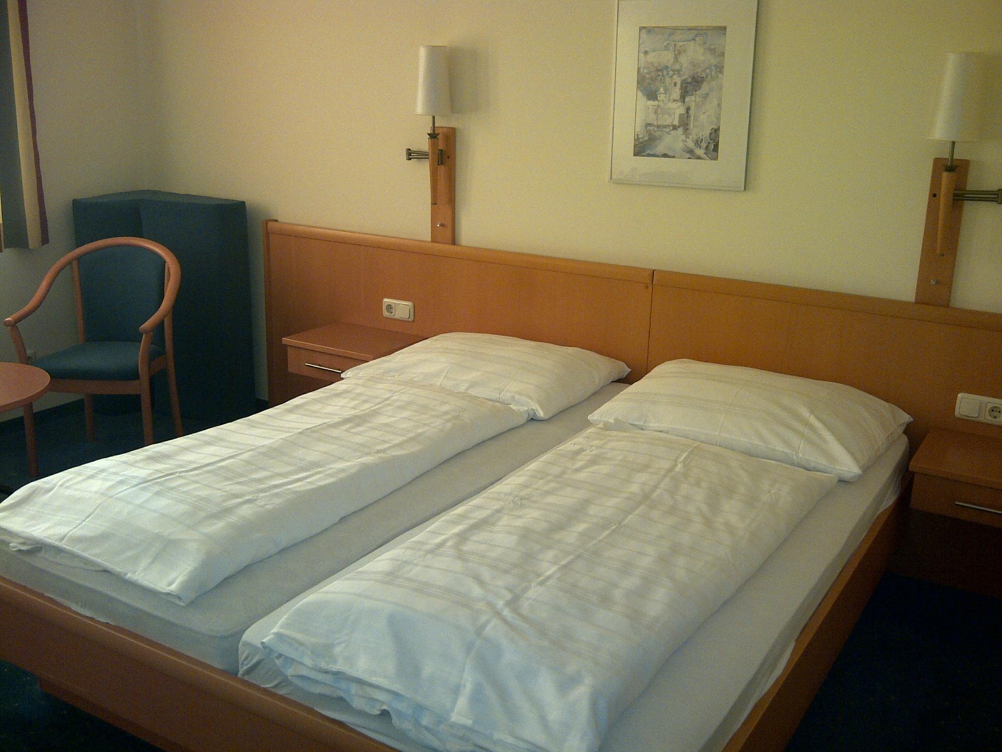 Hotel Goldener Adler-客卧