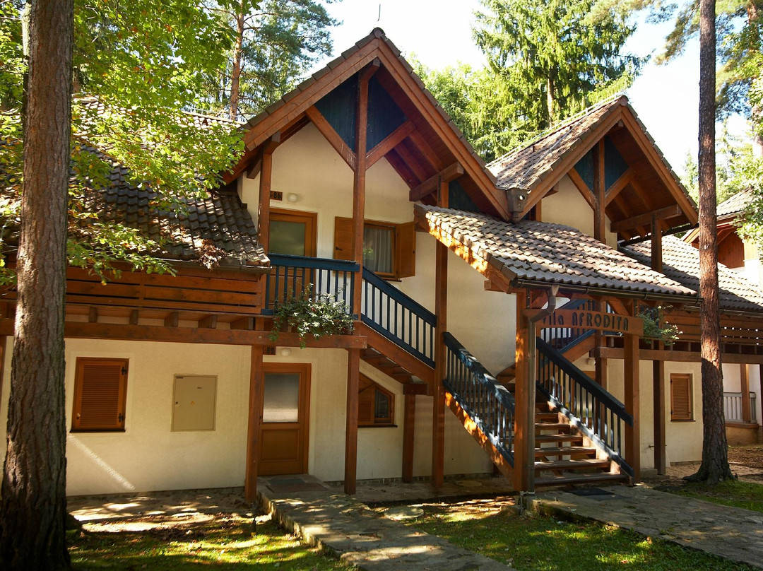 Styria Region酒店住宿-Terme Zrece Villas