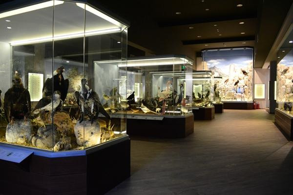 Natural History Museum of Meteora & Mushroom Museum景点图片