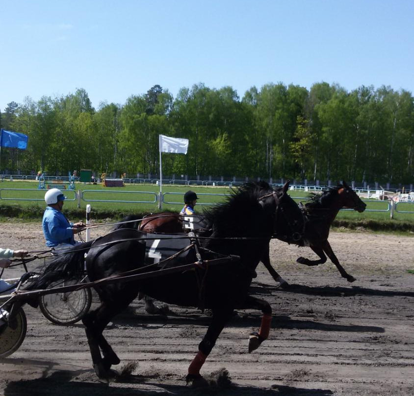 Kostroma Race Track景点图片
