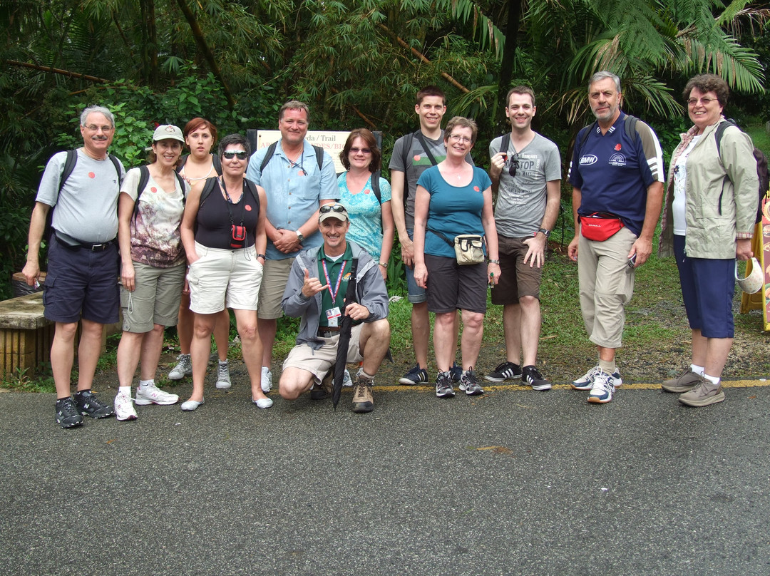 El Yunque Tours-Rio Grande必去景点