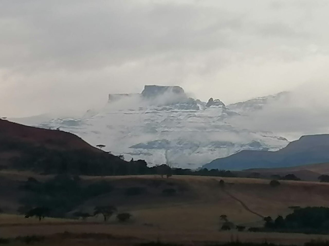 Drakensberg Canopy Tour景点图片