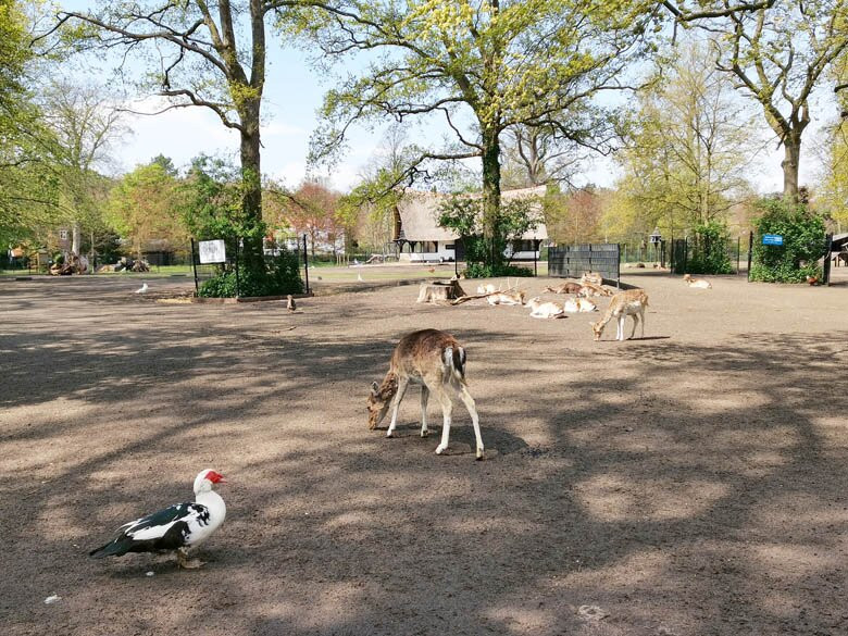 Hertenkamp Bloemendaal景点图片