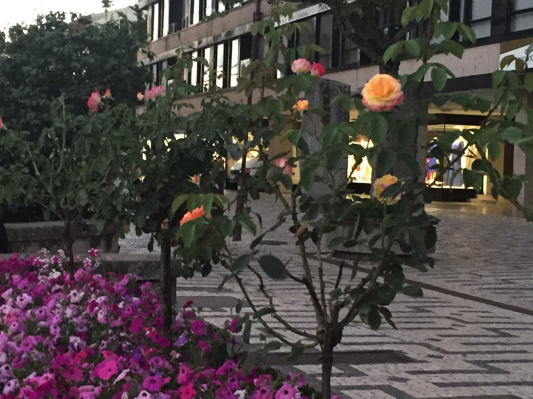 Jardim de Santa Bárbara景点图片
