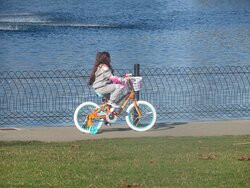 The Gardens At Heather Farms-核桃溪必去景点