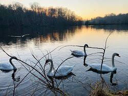 Les Etangs De Commelles-Coye-la-Foret必去景点