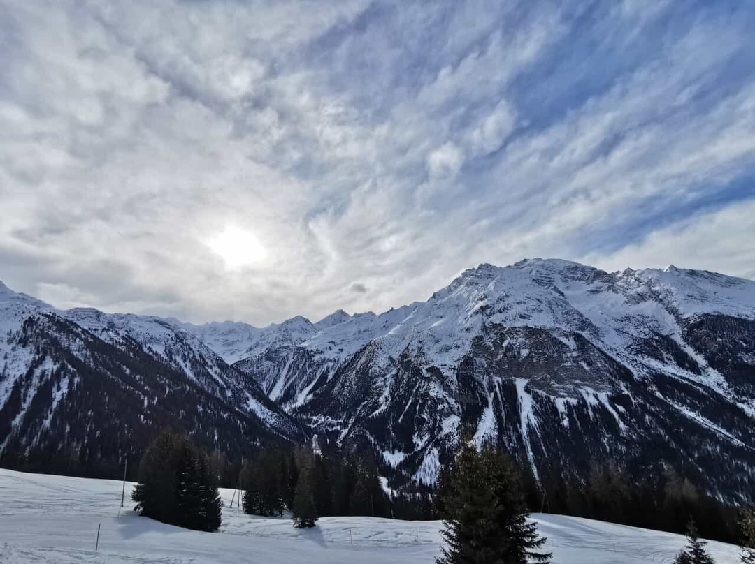 Schlittelbahn Preda Bergün景点图片