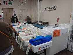 Michi no Eki Tsu Kawage景点图片