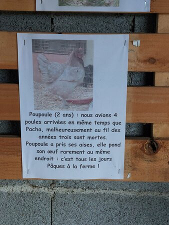 La Ferme des Divols-Beaulieu必去景点