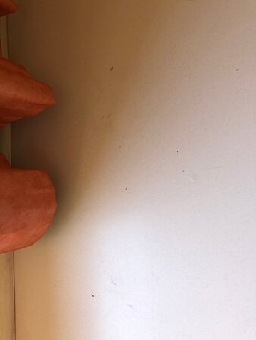 宜必思穆尔西亚酒店-官方