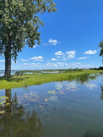 Long Point Island Hugger Tours景点图片