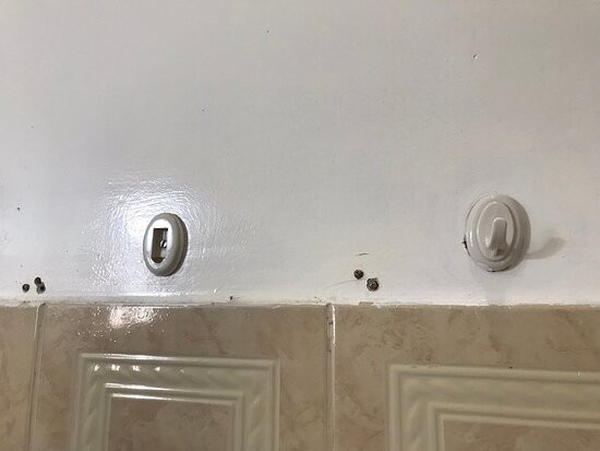 Pousada Inconfidencia Mineira主图