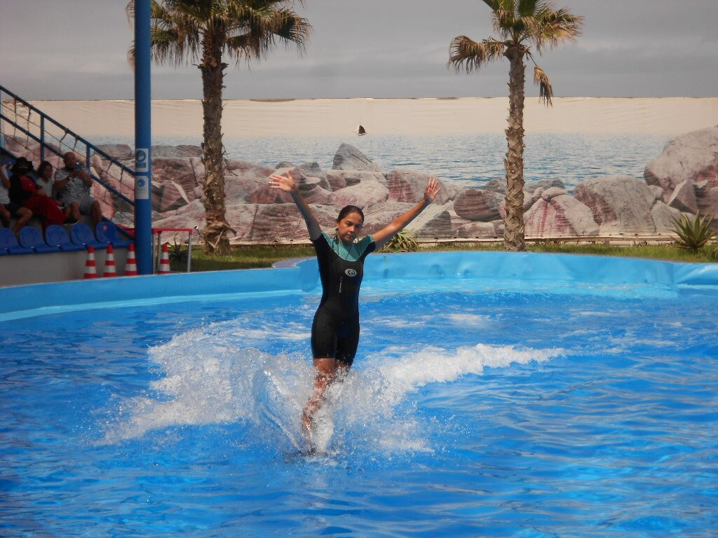 Agadir Dolphin World-阿加迪尔必去景点