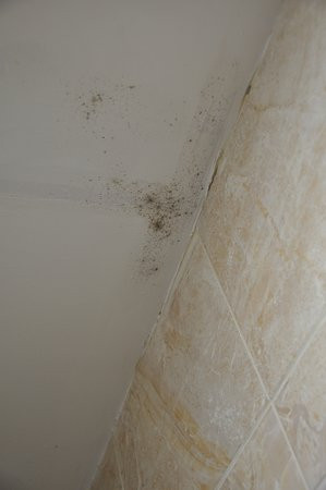 The Abbey Hotel主图