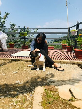 Rosa Vatika Ramgarh, Nainital主图