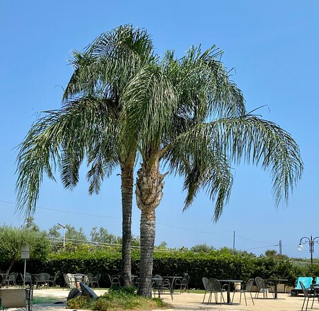 黎莱斯伊尔穆利诺酒店主图