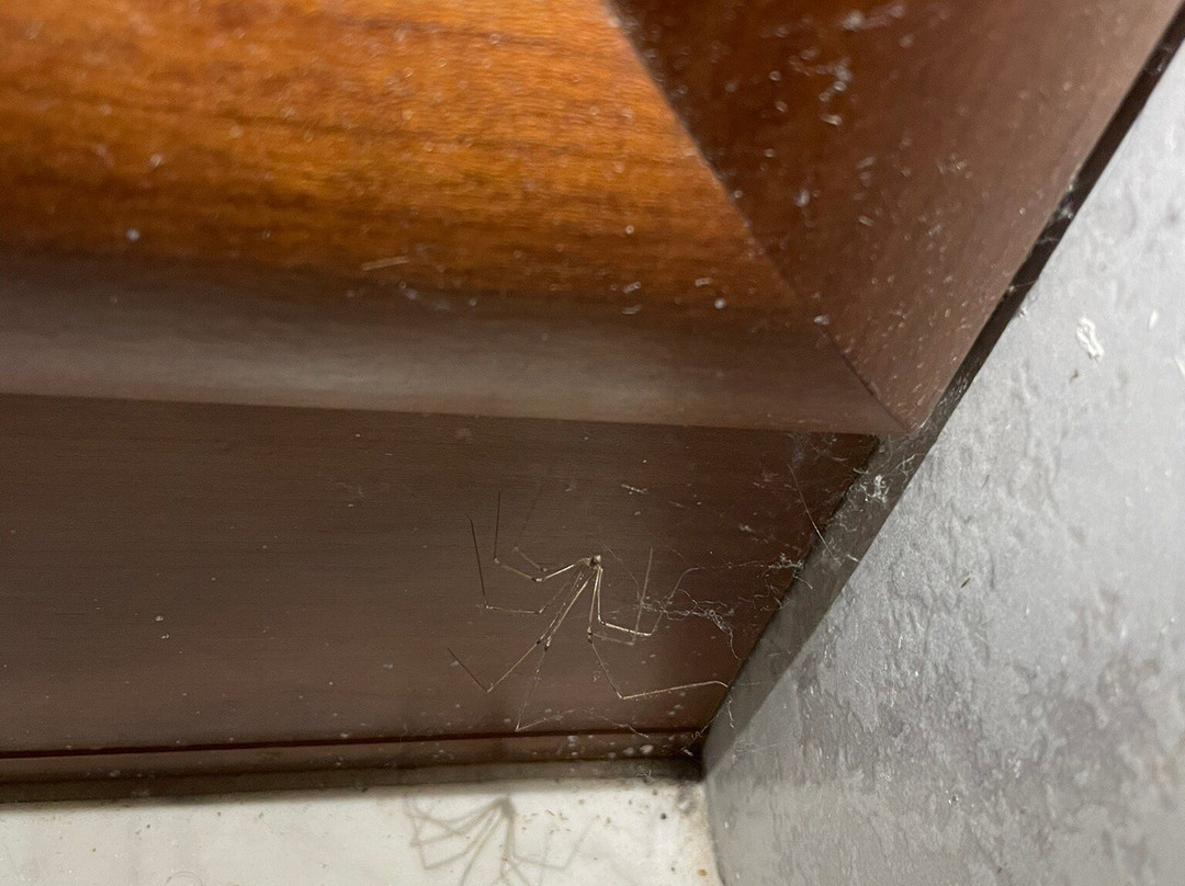 Arco Beach Hotel主图