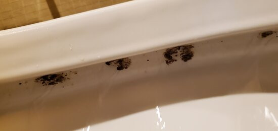 弗里波特快捷假日&套房酒店主图