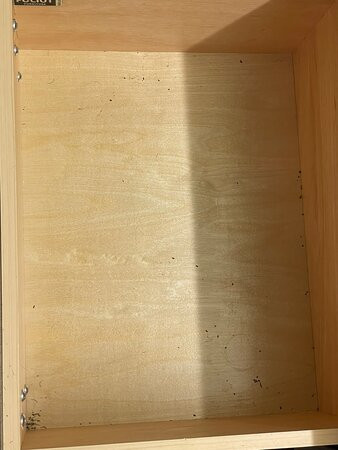 Home2 Suites By Hilton Savannah Airport主图