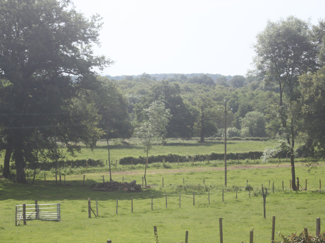 L'ancien Presbytere主图