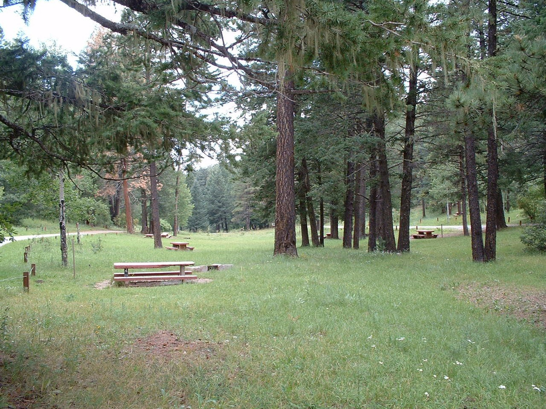 Pines Campground