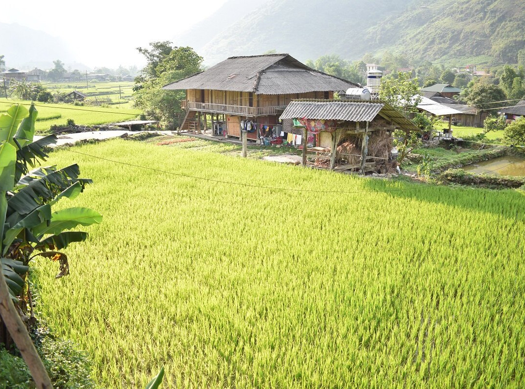 Vinh Hung Homestay