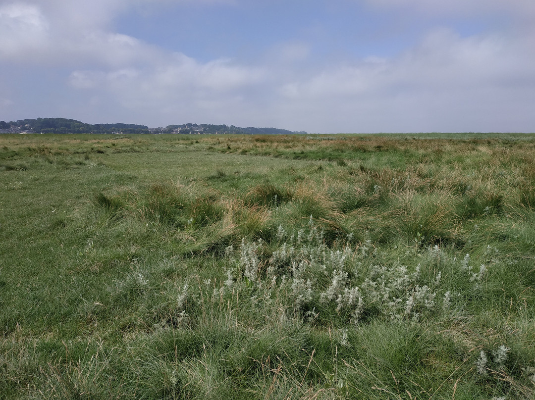 Sortie Baie De Somme