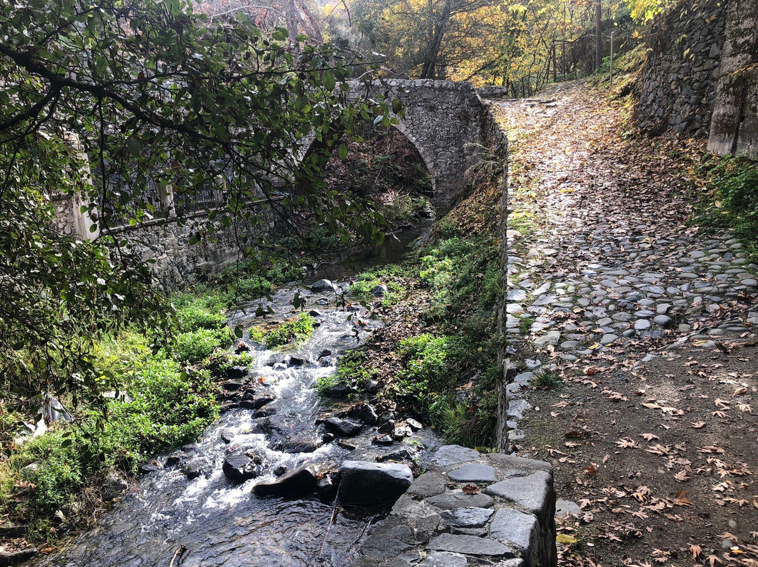 Kalopanagiotis Medieval Bridge景点图片