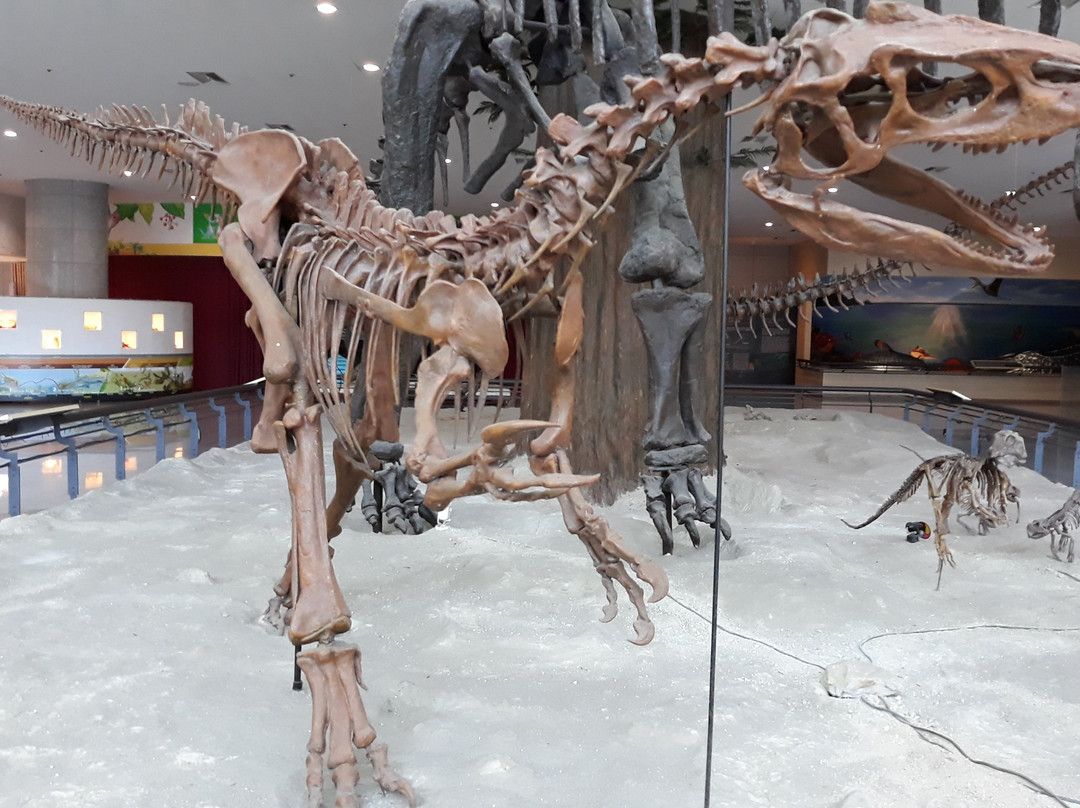 Gyeryongsan Natural History Museum