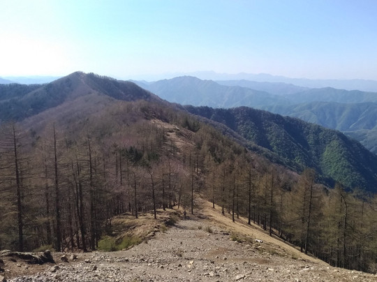 Mt. Kumotori-奥多摩町必去景点