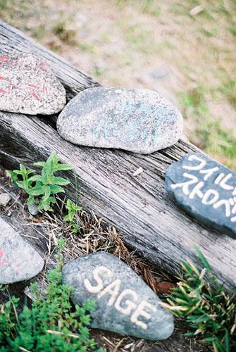 Nasu Herb Honey Garden-那须町必去景点