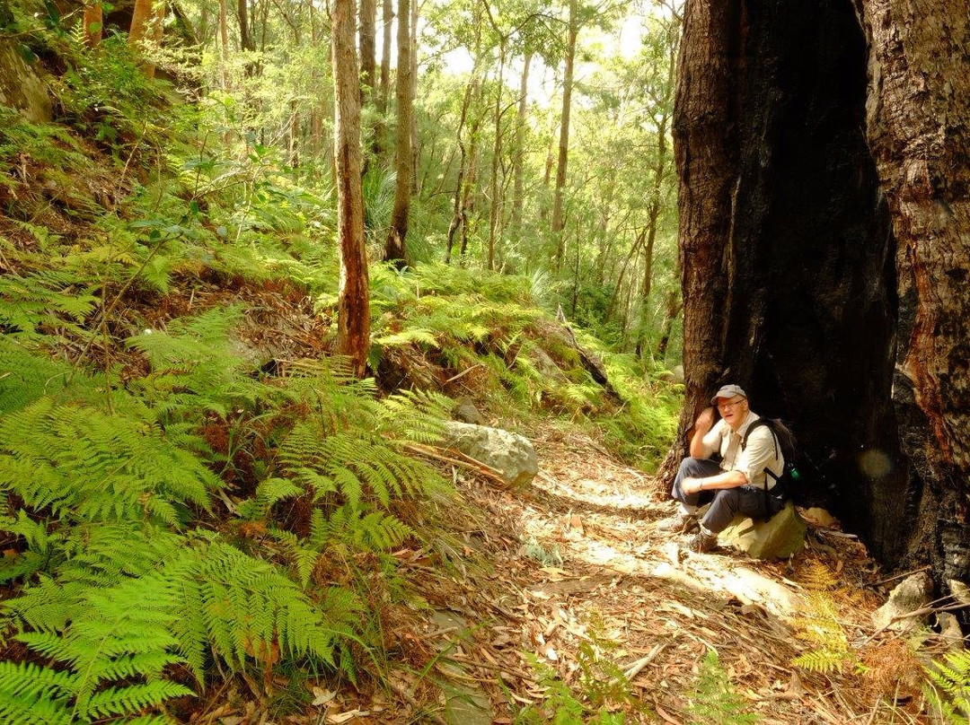 Springfield旅游攻略图片