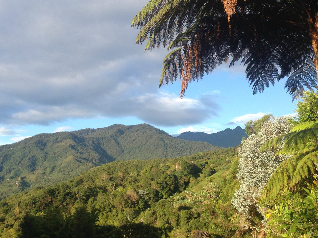 Pichinde旅游攻略图片