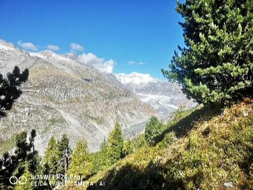 Restaurant Riederfurka