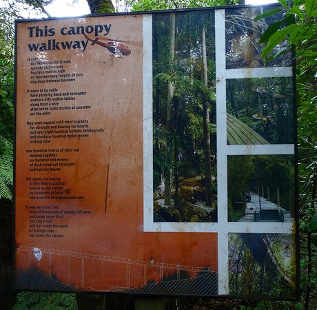 AH Reed Kauri Park景点图片
