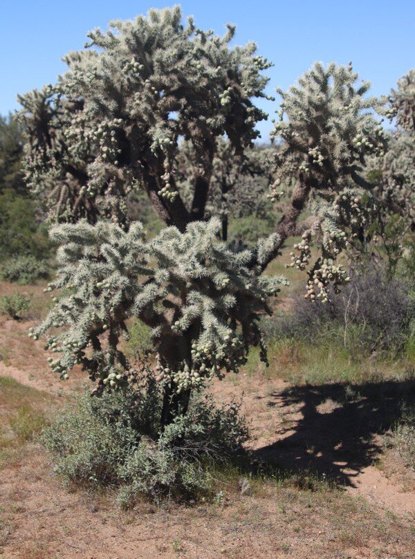 Tom Mix Memorial-Florence必去景点
