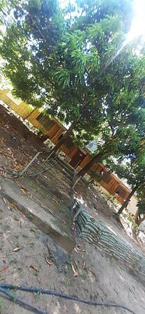 Seynekun Finca Turistica主图