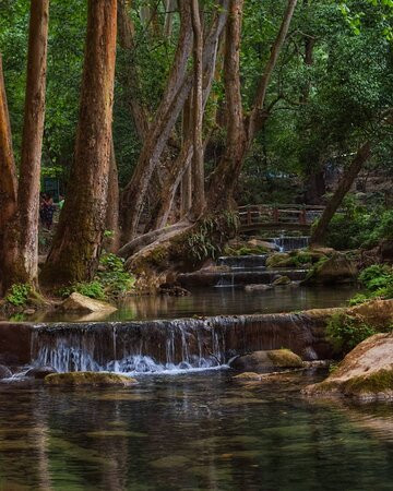 Reserva de la Biósfera Sierra Gorda景点图片