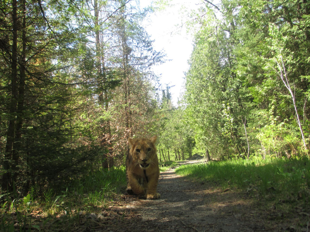 2023年SainteAnnedelaRochelle旅游攻略 8SainteAnnedelaRochelle酒店/景点
