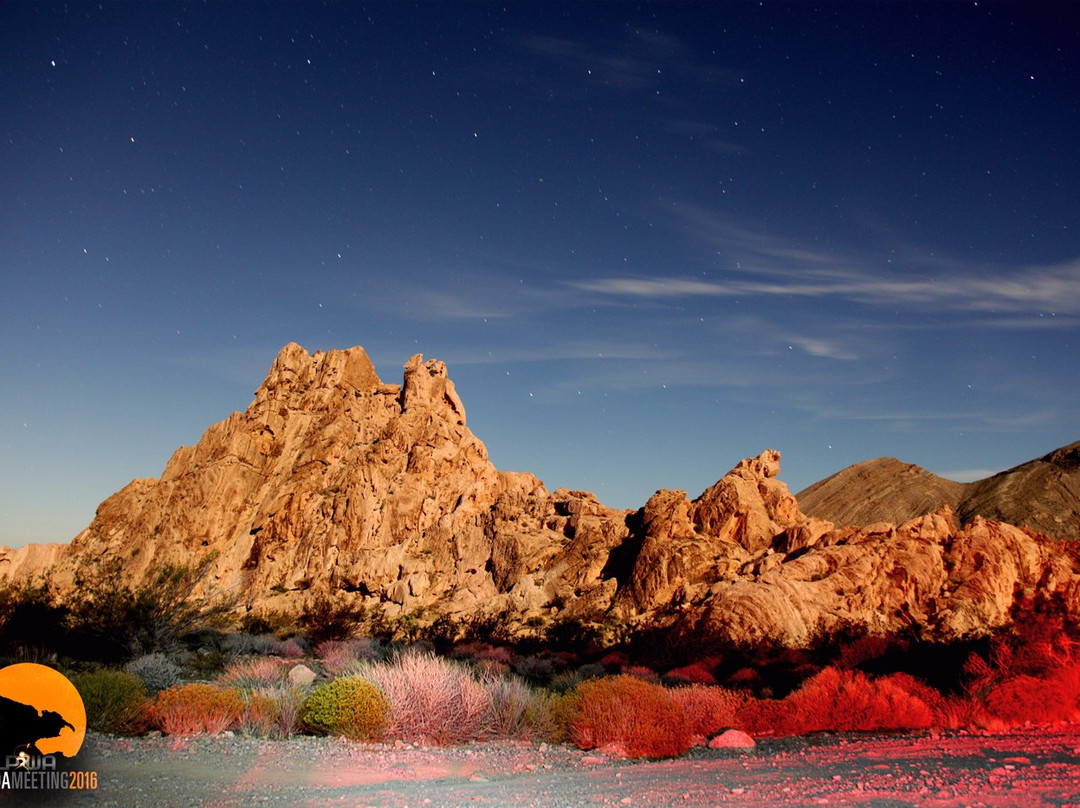 麦斯奎特旅游攻略图片