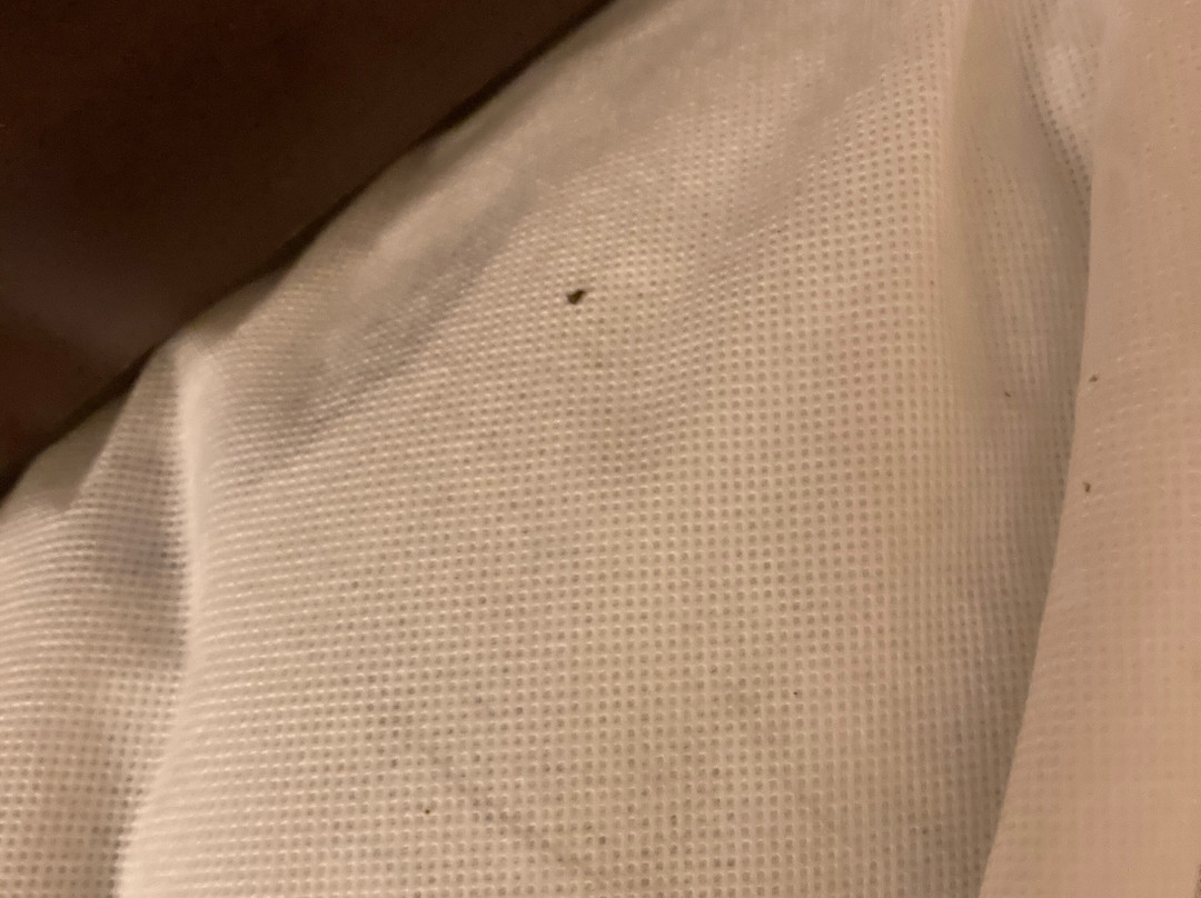 Charlotte Hall旅游攻略图片