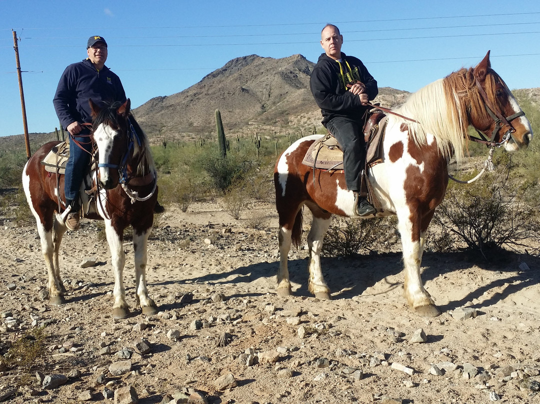Arizona Horses (Ponderosa Stables and South Mountain Stables)景点图片