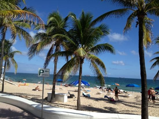 Las Olas Beach景点图片