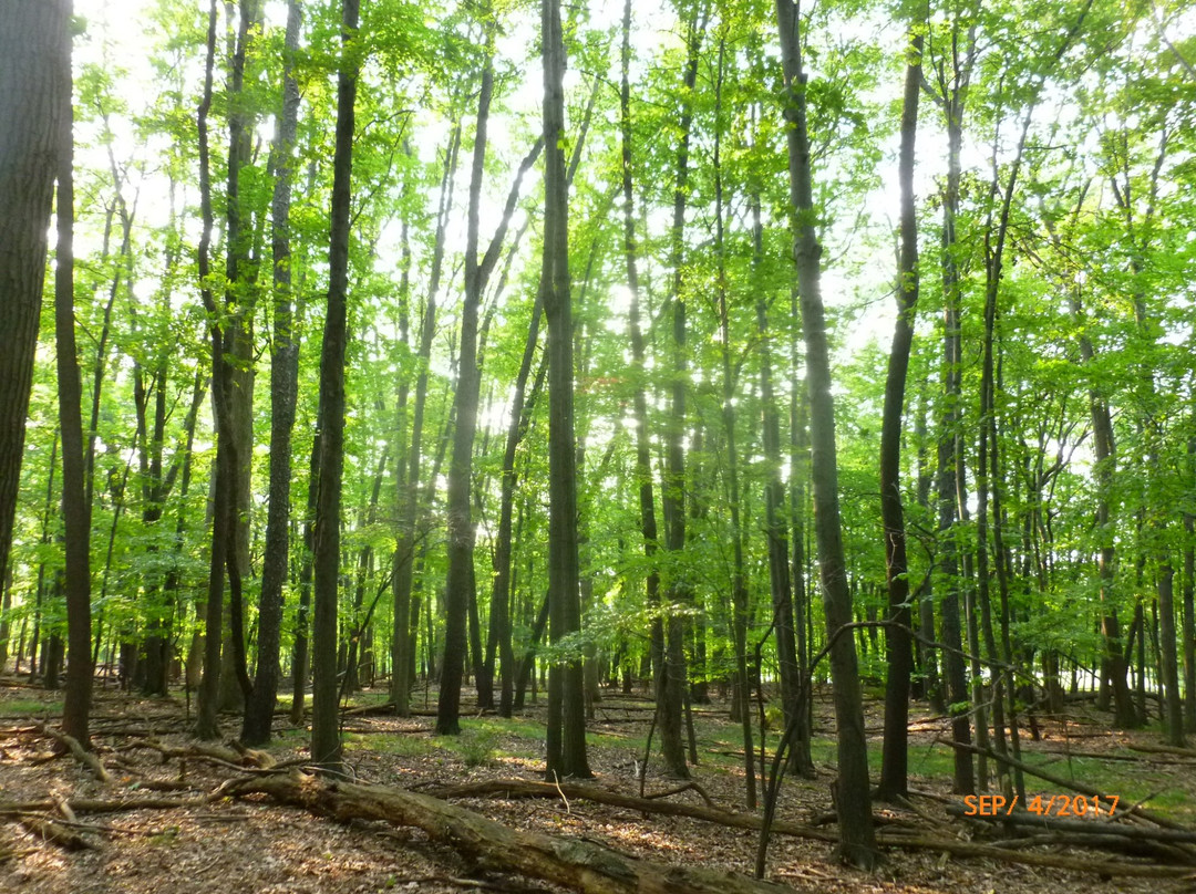 Stage Nature Center景点图片