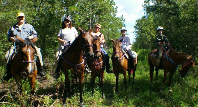 Mustang Moon Equine Solutions-奥卡拉必去景点