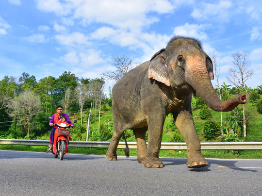 Love Khaolak Holiday