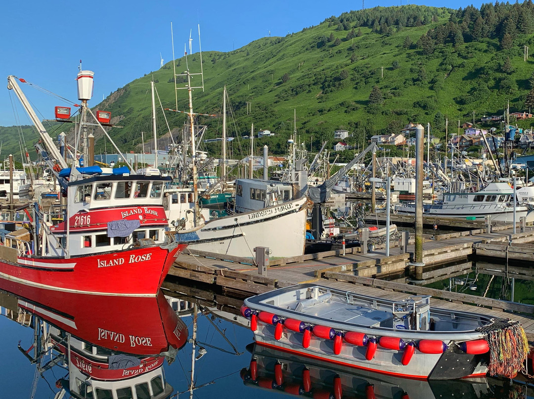 Kodiak Connections - Kodiak Walking and Hiking Tours-Kodiak必去景点