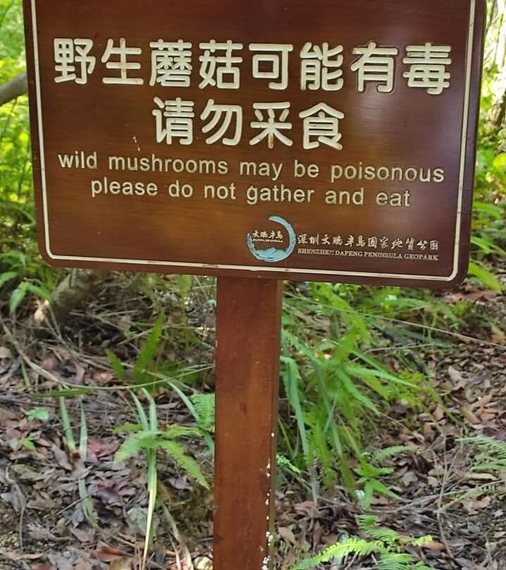 七娘山-深圳市必去景点