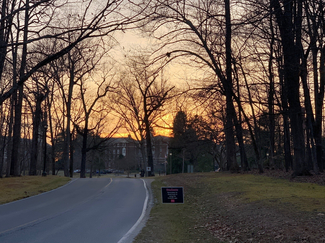 The Elston Inn and Conference Center at Sweet Briar College主图